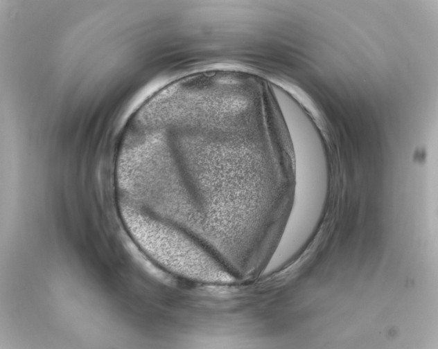 X0000093140910200710241340