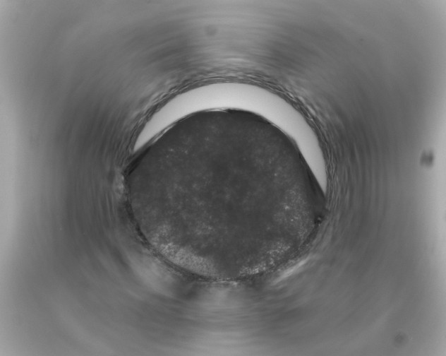 X0000093140916200710241339