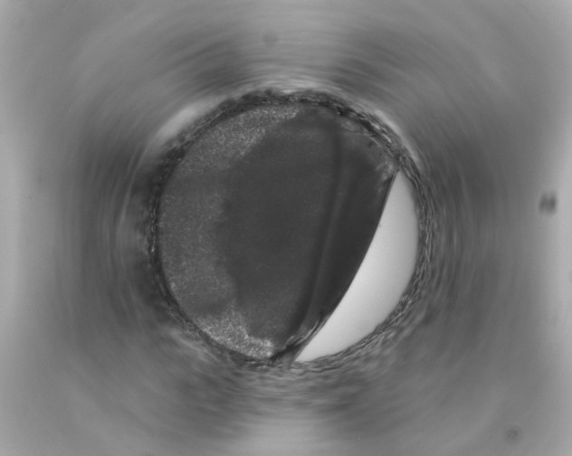 X0000093140919200710241339