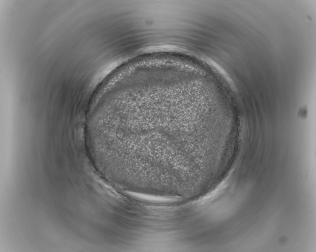 X0000093140921200710241339