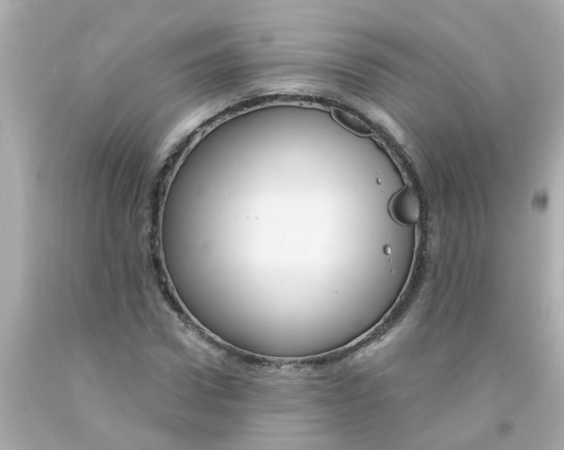 X0000093140922200710241339