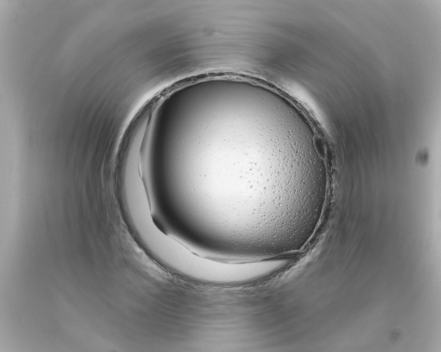 X0000093140924200710241339