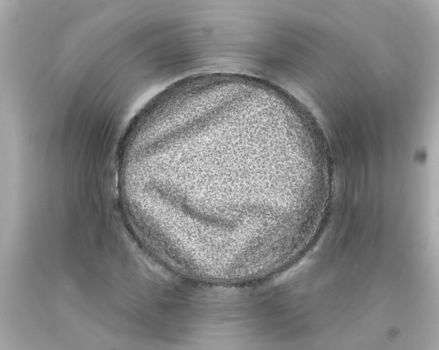 X0000093140925200710241339