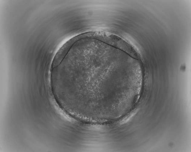 X0000093140932200710241340