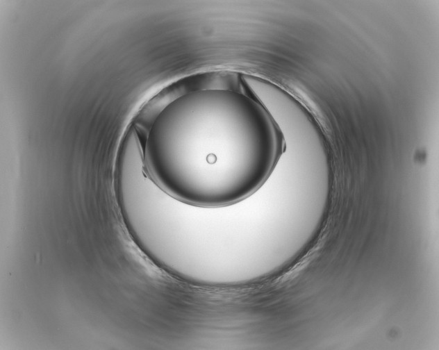 X0000093140940200710241340