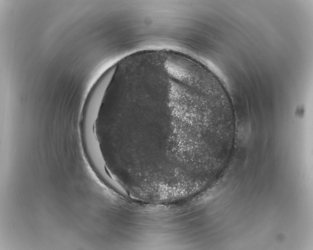 X0000093140943200710241340