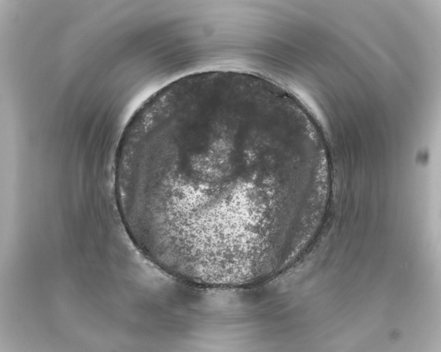 X0000093140944200710241340