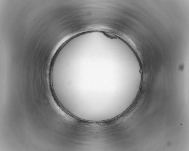 X0000093140947200710241340