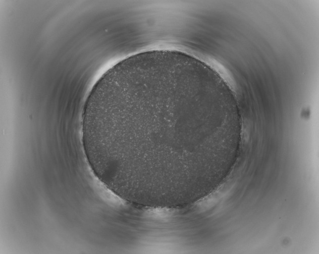 X0000093140950200710241340