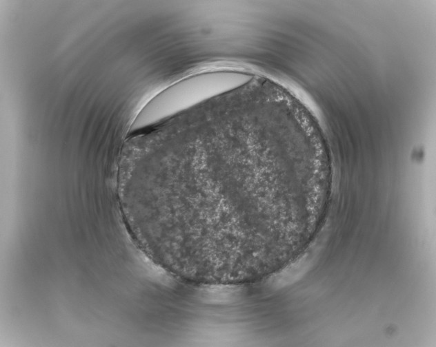 X0000093140953200710241340