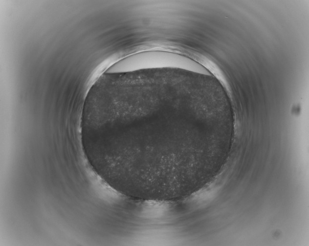 X0000093140954200710241340