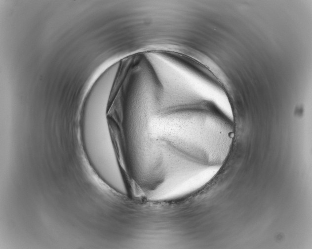 X0000093140955200710241340