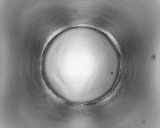 X0000093140957200710241340