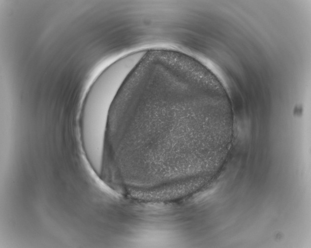 X0000093140959200710241340