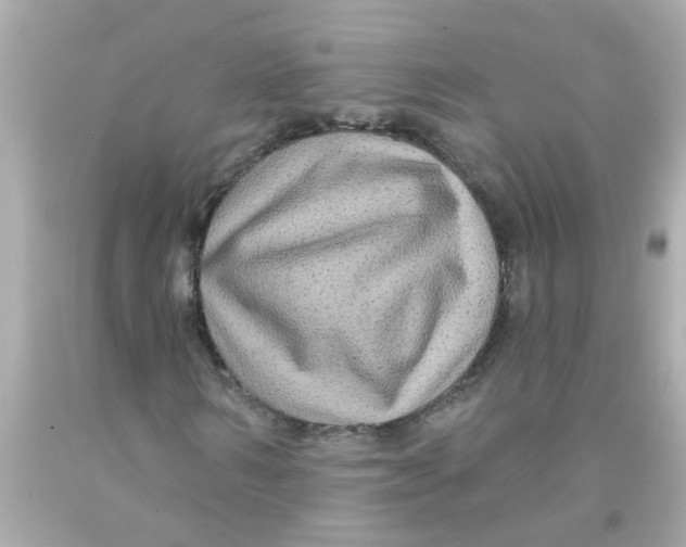 X0000093140962200710241339