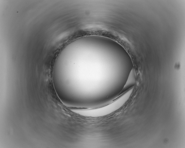 X0000093140965200710241339