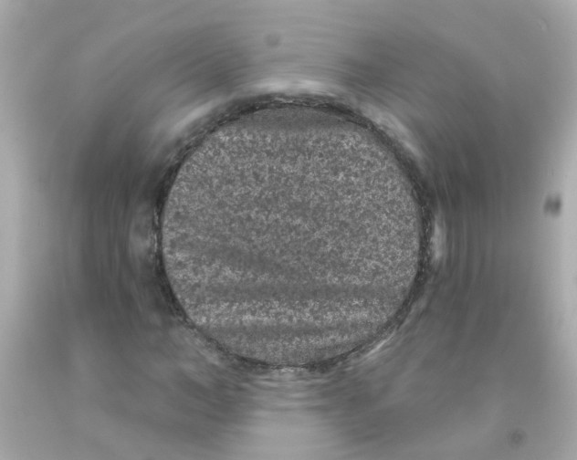 X0000093140966200710241339