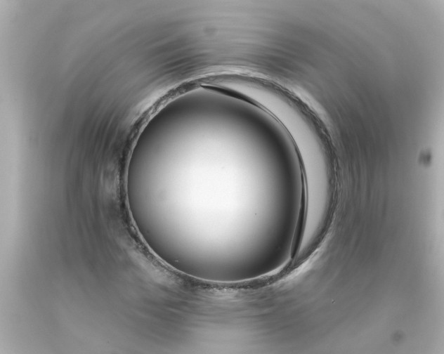 X0000093140969200710241339