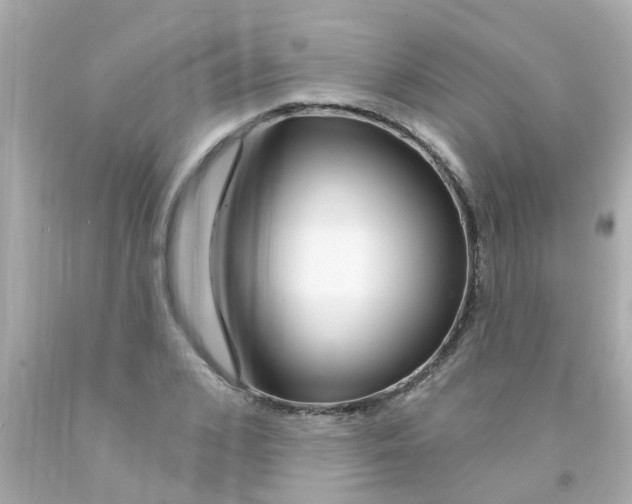 X0000093140976200710241339