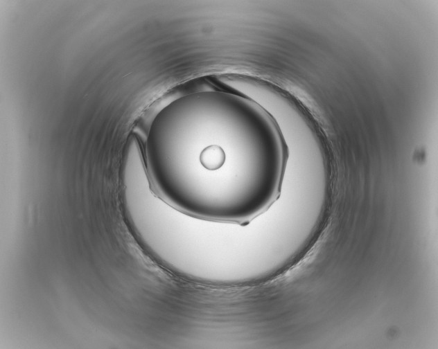 X0000093140977200710241339