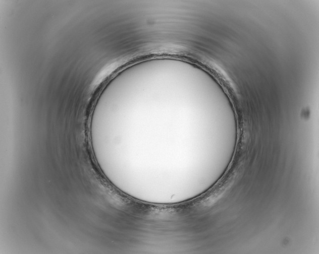 X0000093140978200710241339