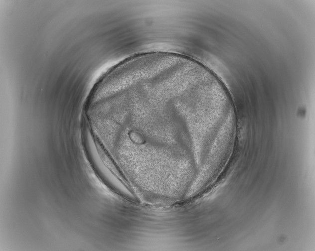 X0000093140987200710241339