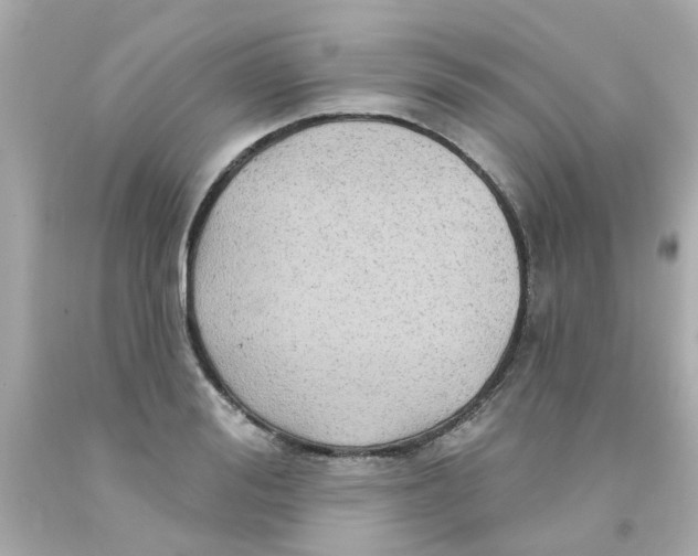 X0000093140988200710241339