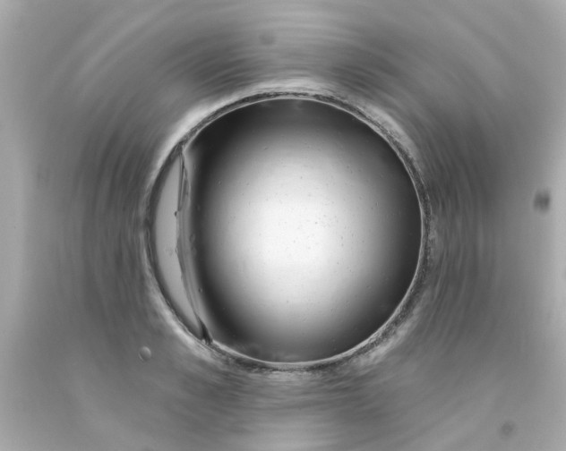 X0000093140989200710241339