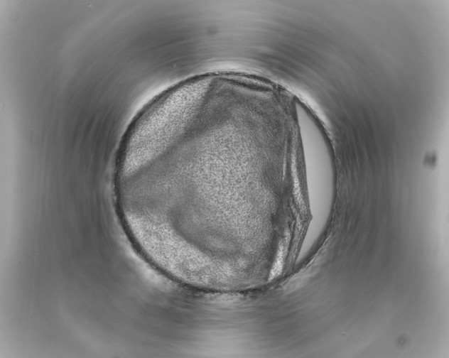 X0000093140991200710241339