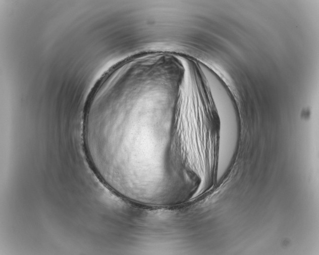 X0000093140992200710241339