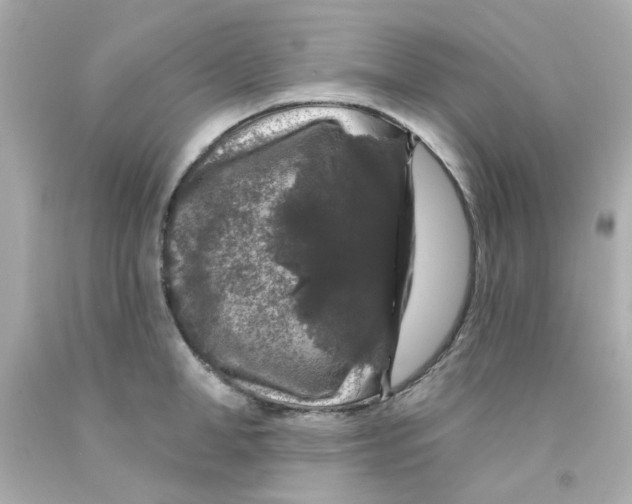 X0000093140998200710241339