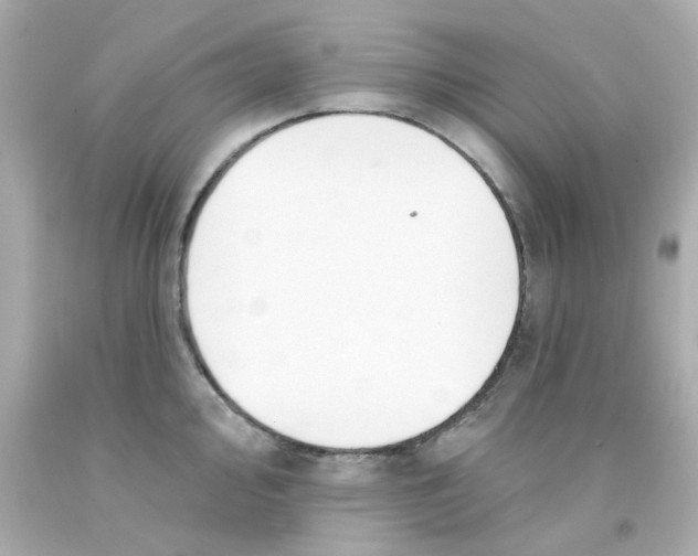 X0000093141000200710241339