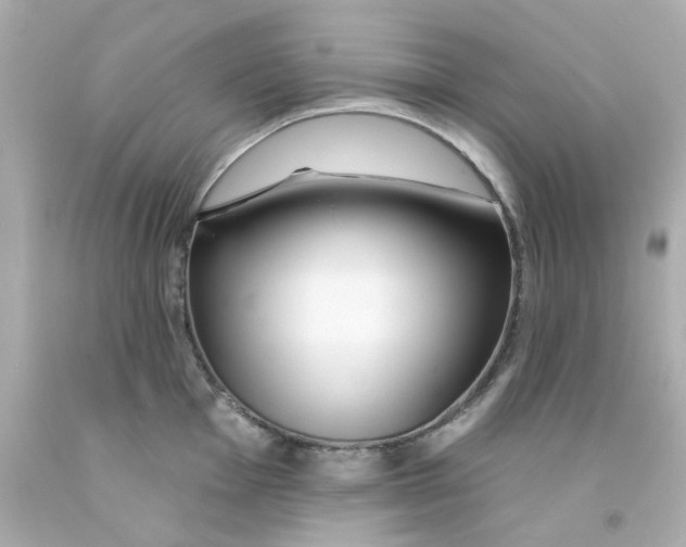 X0000093141001200710241339