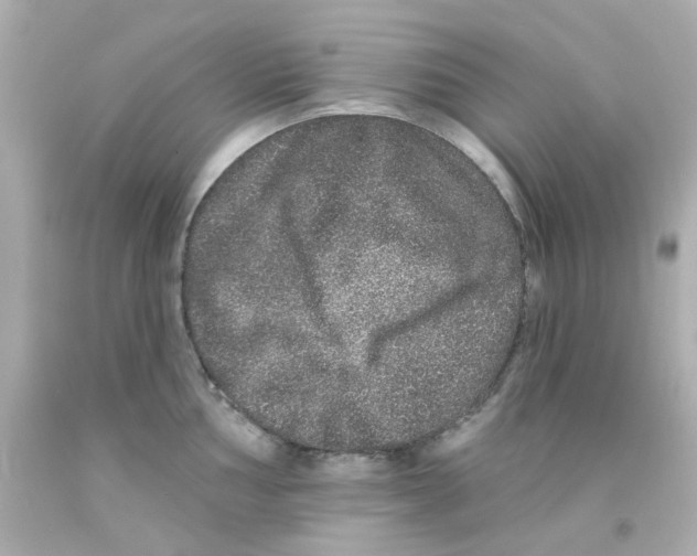 X0000093141002200710241339