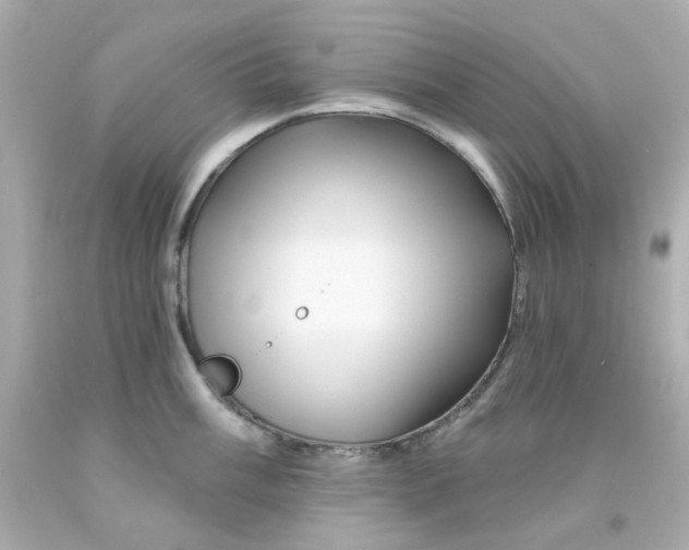 X0000093141003200710241339