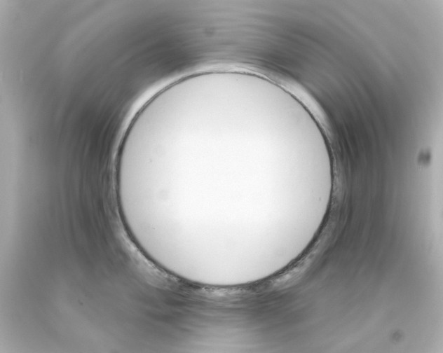 X0000093141004200710241339