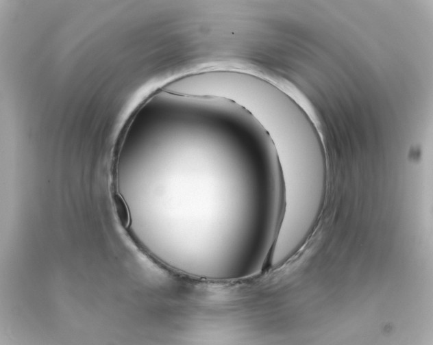 X0000093141005200710241339