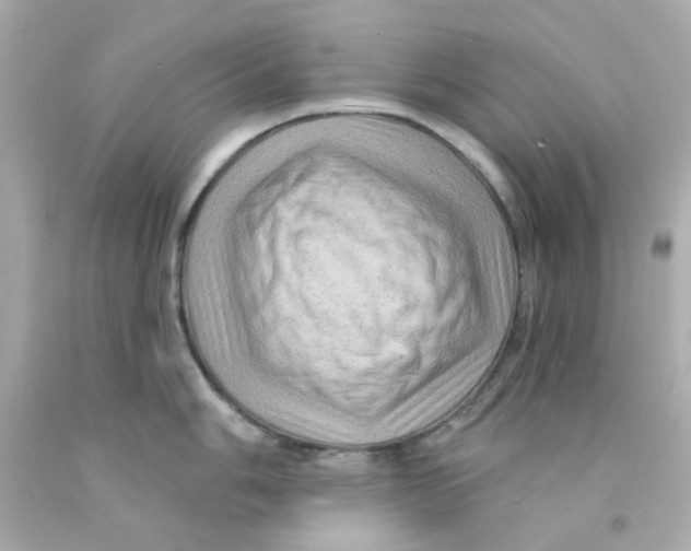 X0000093141006200710241339