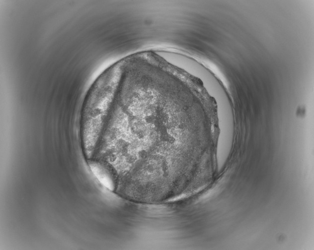 X0000093141007200710241339