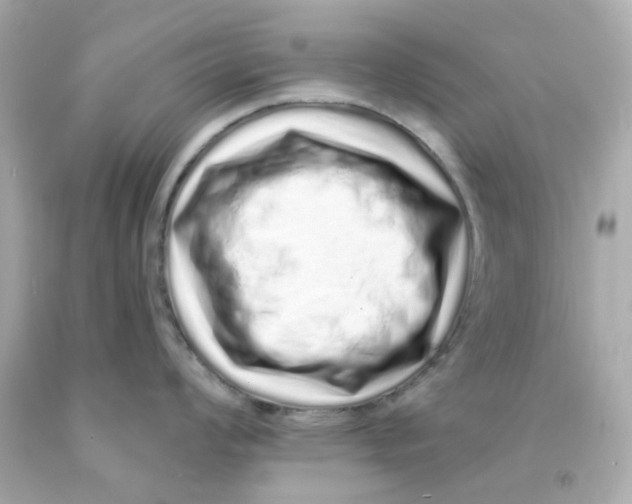 X0000093141008200710241338