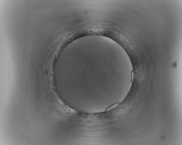 X0000093141009200710241338