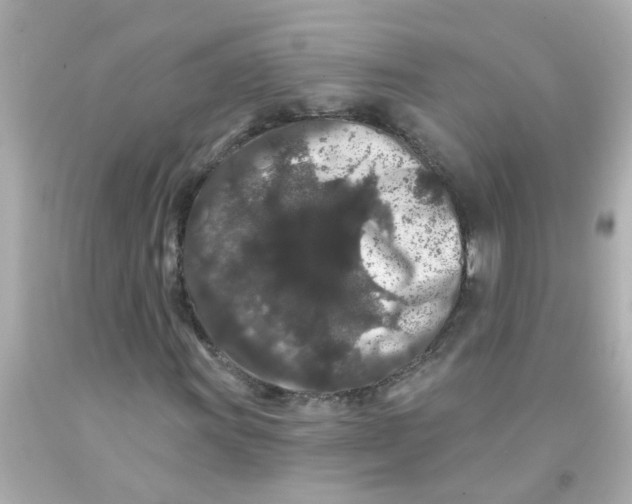 X0000093141011200710241338