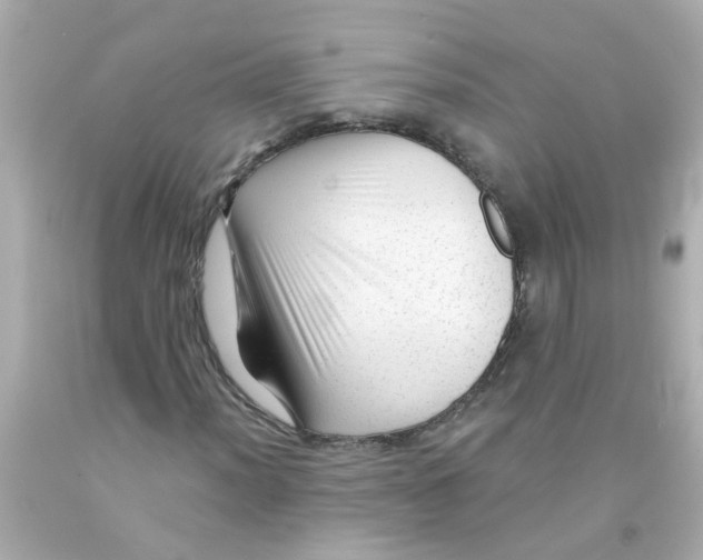 X0000093141012200710241338