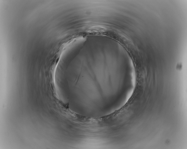 X0000093141013200710241338