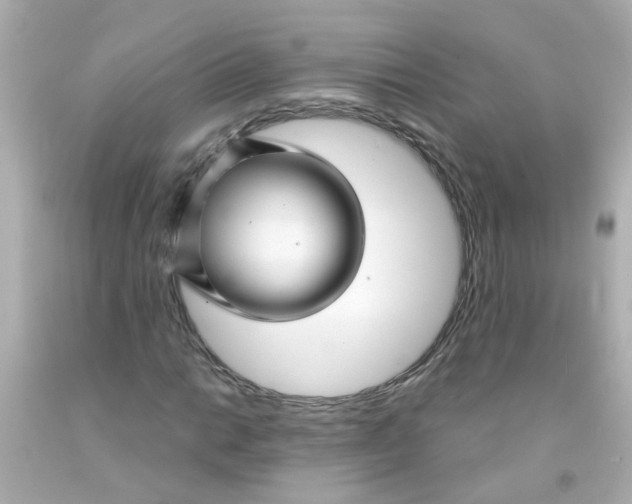 X0000093141014200710241338