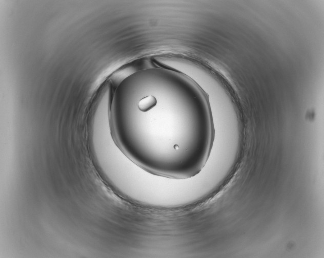 X0000093141018200710241338