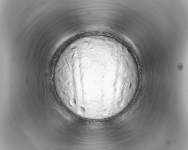 X0000093141019200710241338