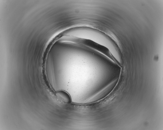 X0000093141020200710241338