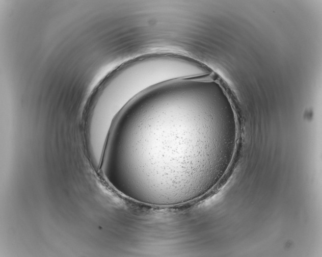 X0000093141022200710241338