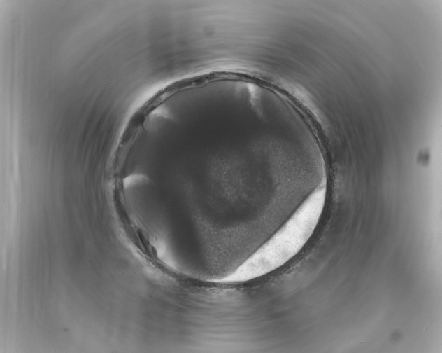 X0000093141024200710241338